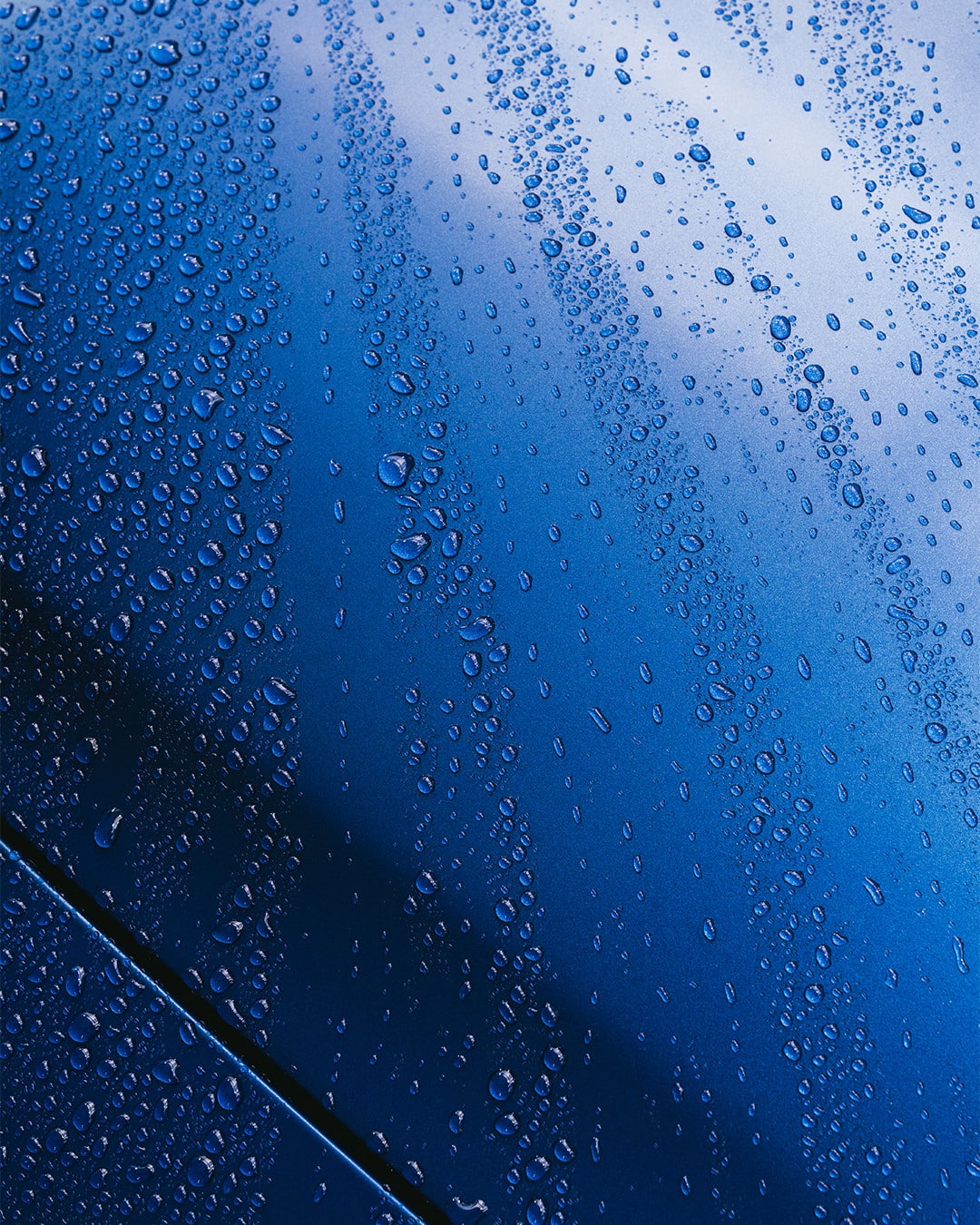 Nanolex Matte Reactivating Shampoo