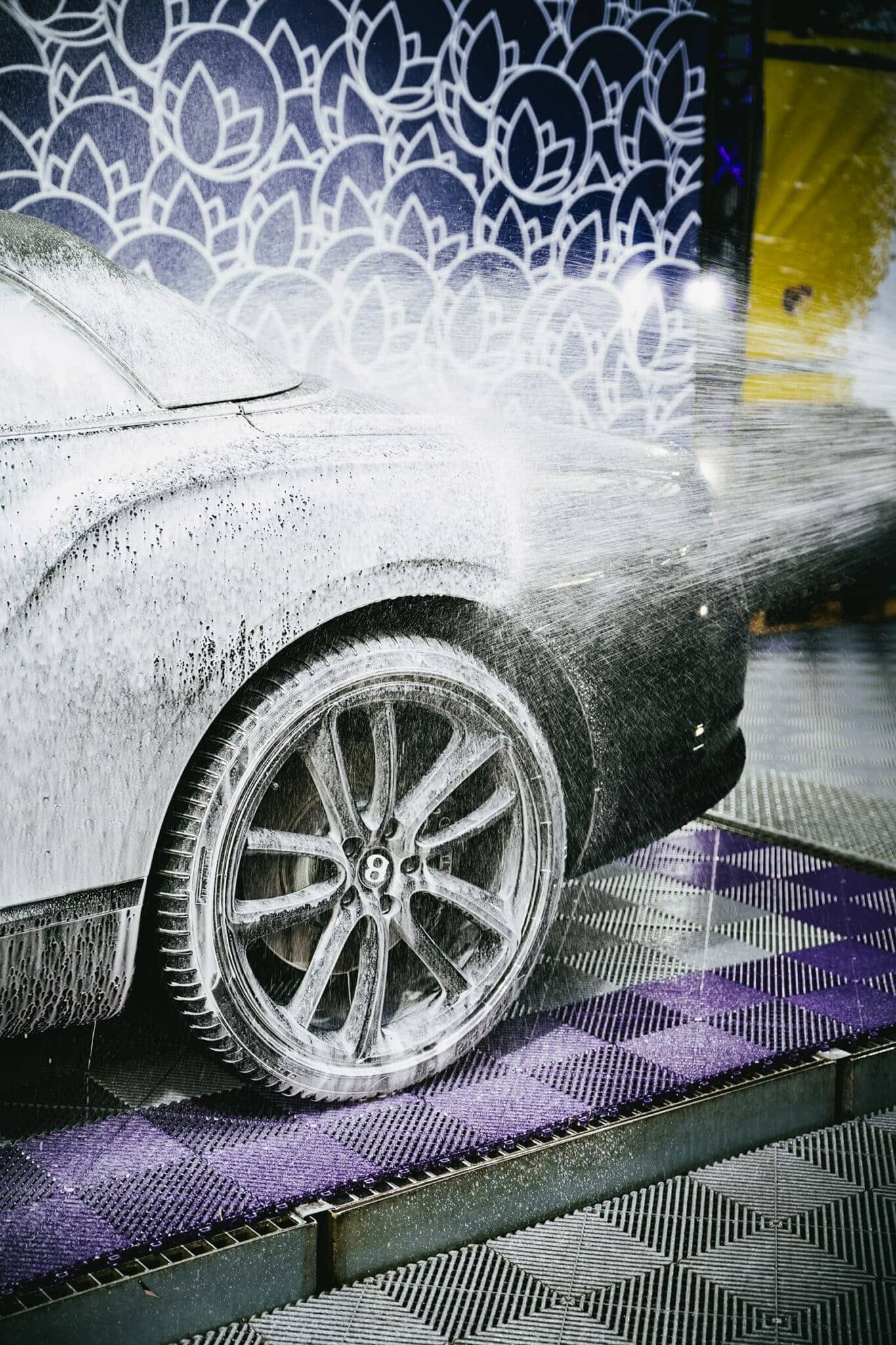 Nanolex Proffesional Shampoo application